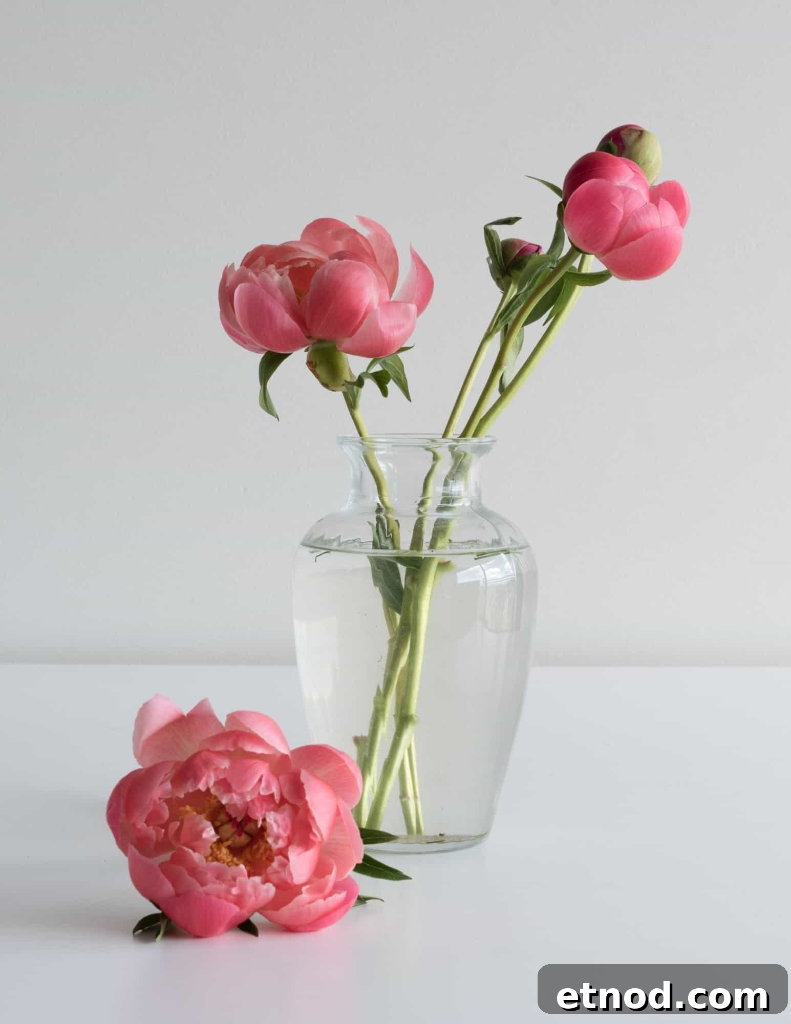 featured 10228