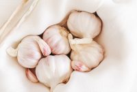 Probiotics vs Prebiotics: Which Do You Really Need?