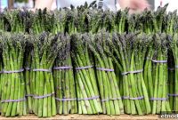 How Much Does a Bunch of Asparagus Cost? Pricing Guide