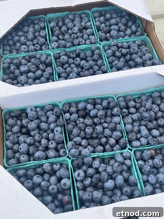 Gluten-Free Mixed Berry Crisp Recipe for Summer Desserts 3 blueberries