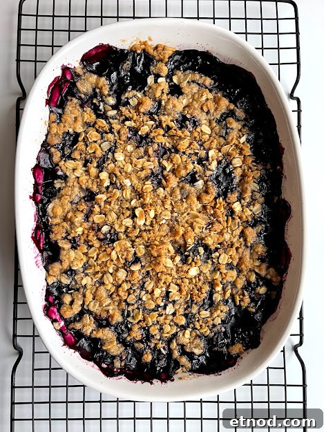 Gluten-Free Mixed Berry Crisp Recipe for Summer Desserts 6 gluten-free crisp with peaches and blackberries