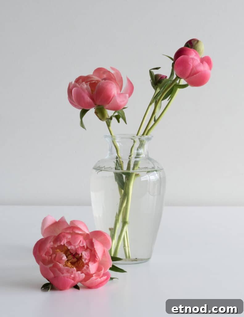 July Favorites: Top Picks from July 2, 2021 2 one of my favorite things is a simple glass vase with some pink peony flowers