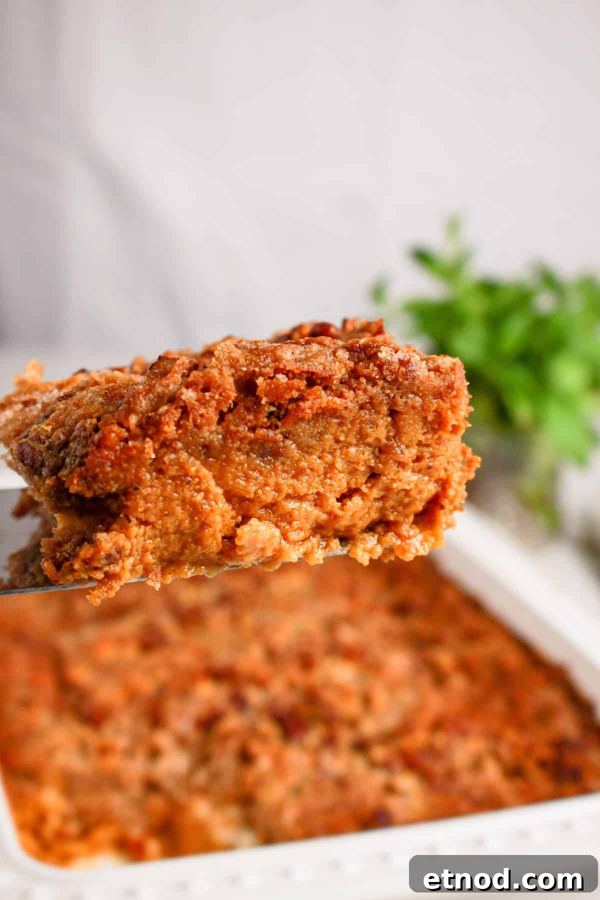 Pumpkin Pecan Dump Cake Recipe — Quick Fall Dessert with Pecans 3 Slice of pumpkin pecan dump cake on a spatula.