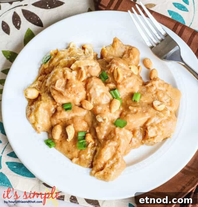Instant Pot Peanut Chicken Recipe — Quick Savory Peanut Sauce 2 instant pot peanut chicken