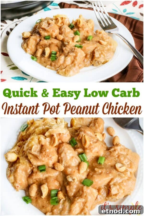 Instant Pot Peanut Chicken Recipe — Quick Savory Peanut Sauce 3 low carb chicken satay
