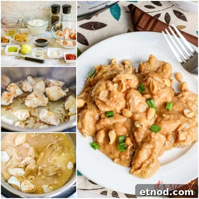Instant Pot Peanut Chicken Recipe — Quick Savory Peanut Sauce 5 chicken satay peanut sauce