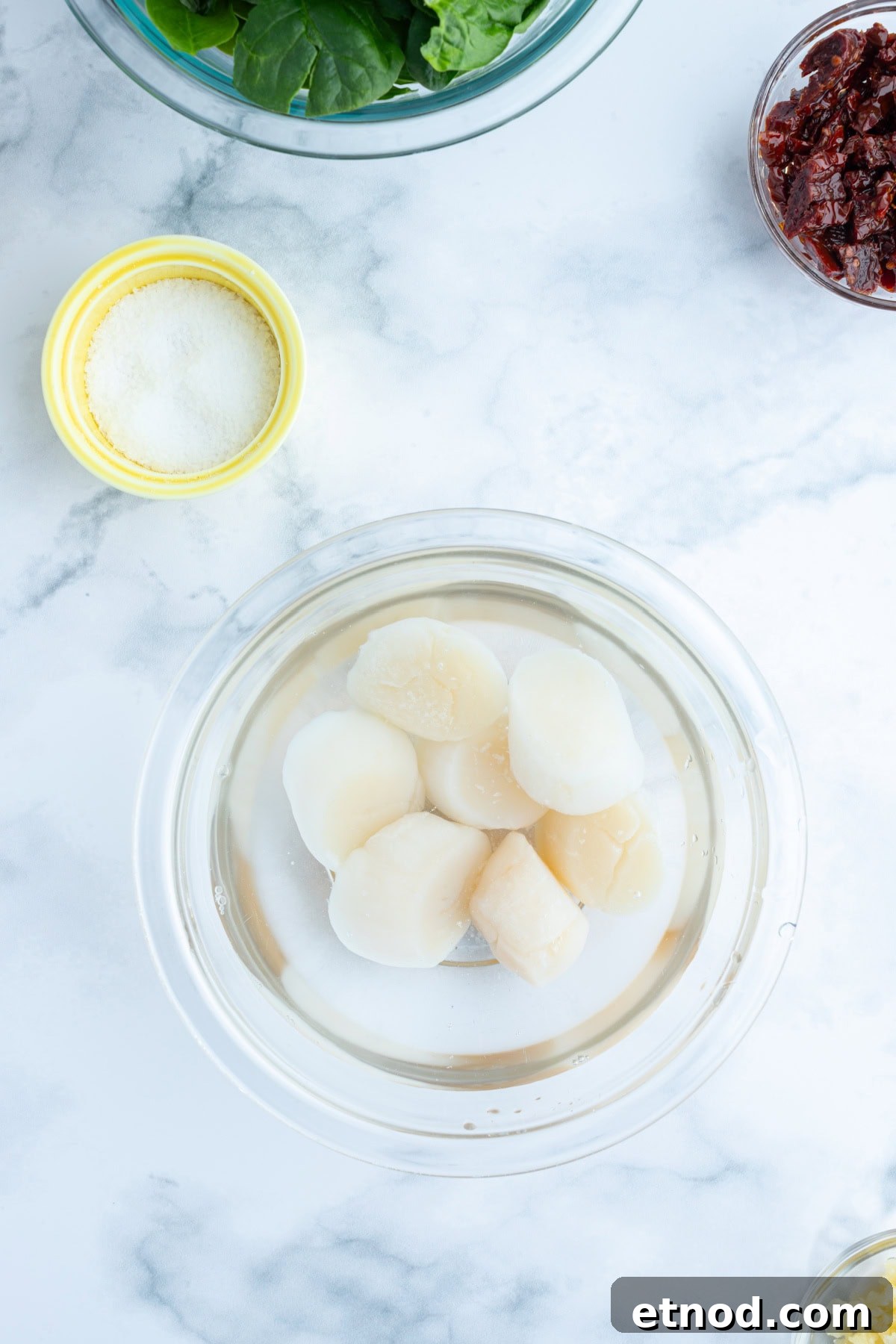 Scallops raw scallops in bowl