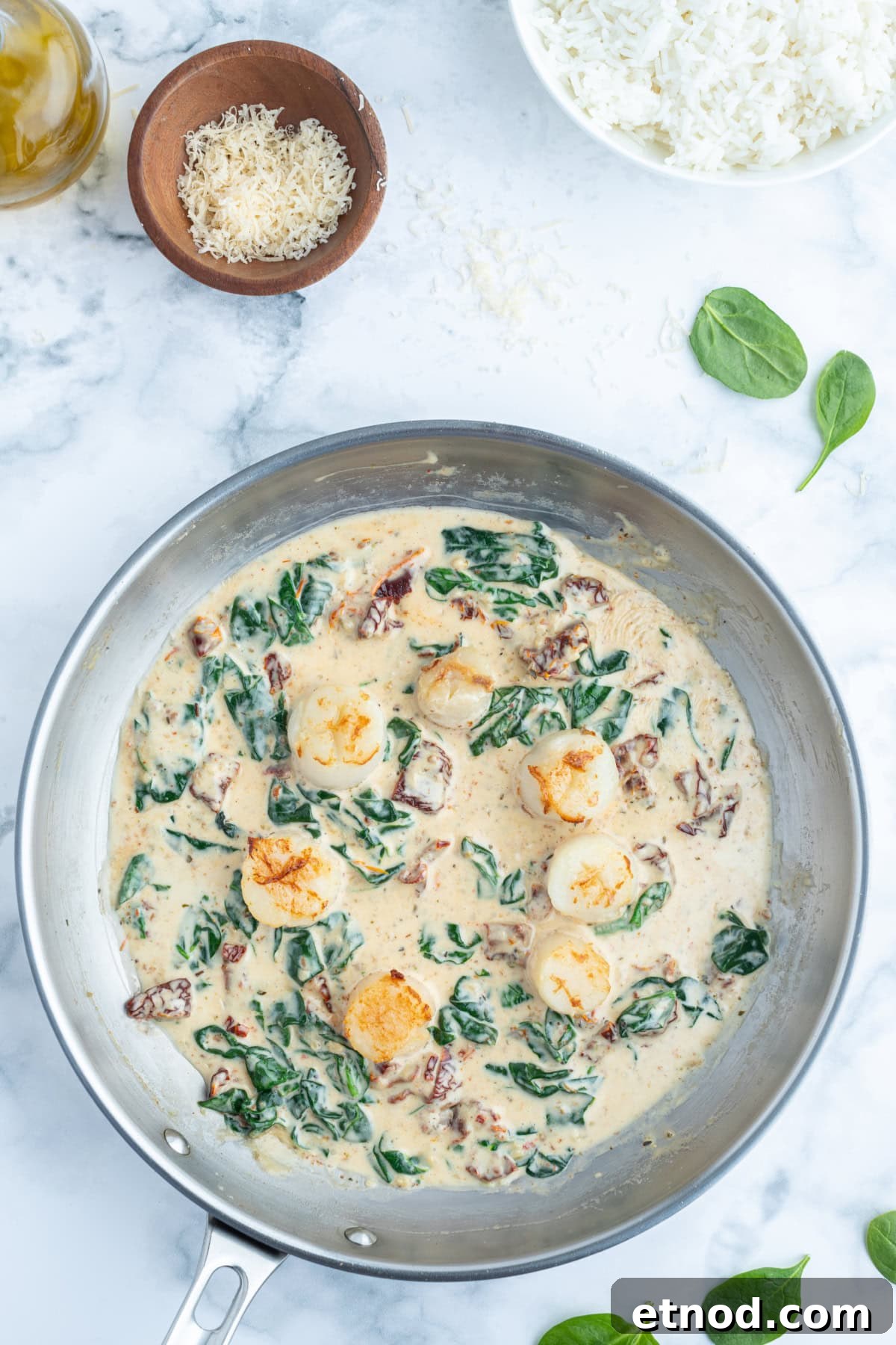 Scallops in Cream Sauce scallops in cream sauce in skillet