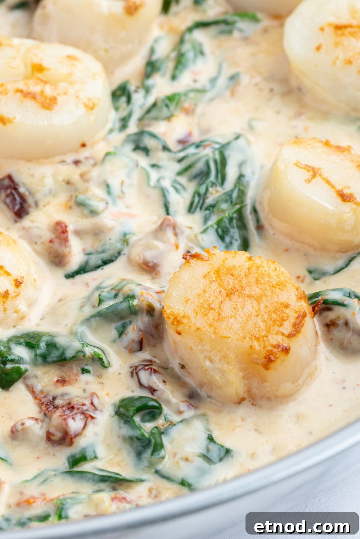 Scallops in Cream Sauce scallops in cream sauce in pan