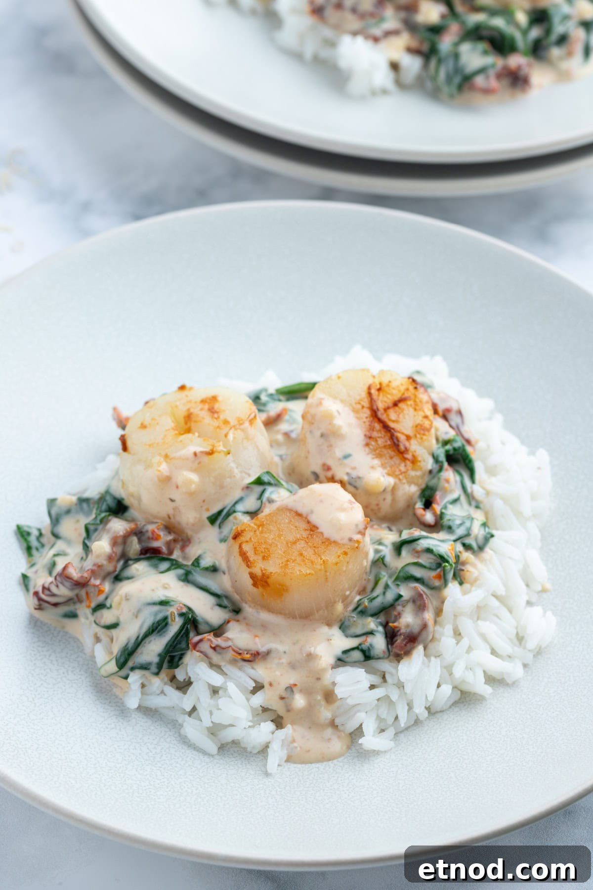 Scallops in Cream Sauce with Spinach and Sun Dried Tomatoes scallops in cream sauce on top of rice