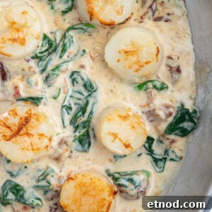 Seared Scallops in Rich Cream Sauce with Garlic and Herbs 2 overhead shot of scallops in pan