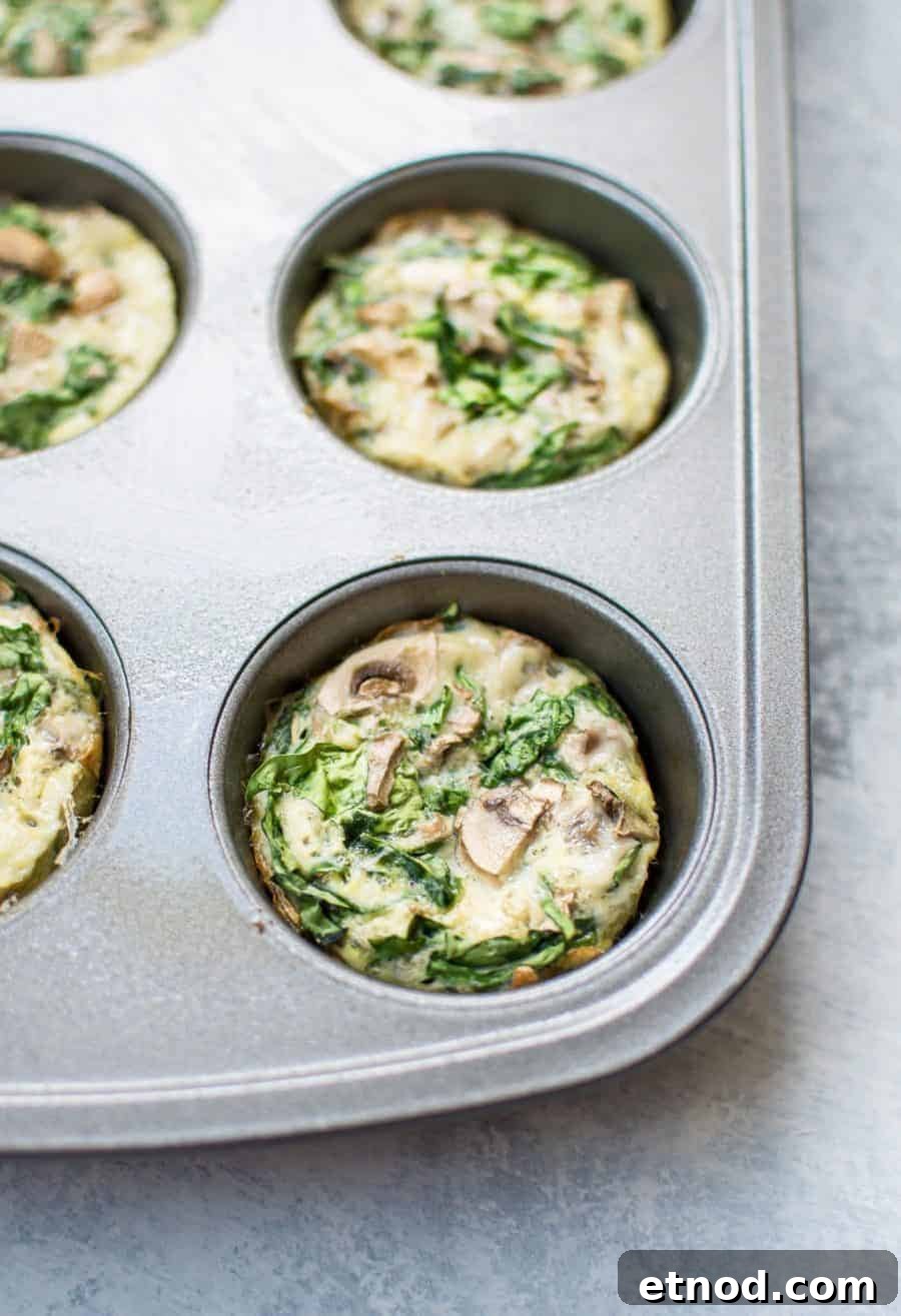 A close-up of a metal muffin tin holding four baked egg muffins with visible spinach and mushrooms—perfect for make ahead breakfast recipes.