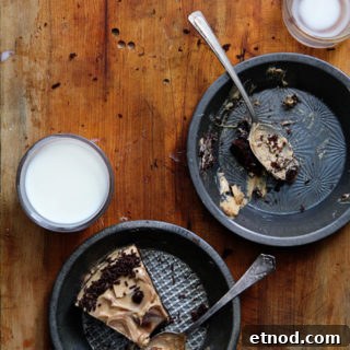 Biscoff Brownie Cake