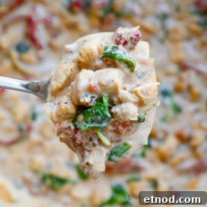 Marry Me Chicken Soup Recipe That Wins Hearts 8 holding a spoonful of marry me chicken soup.