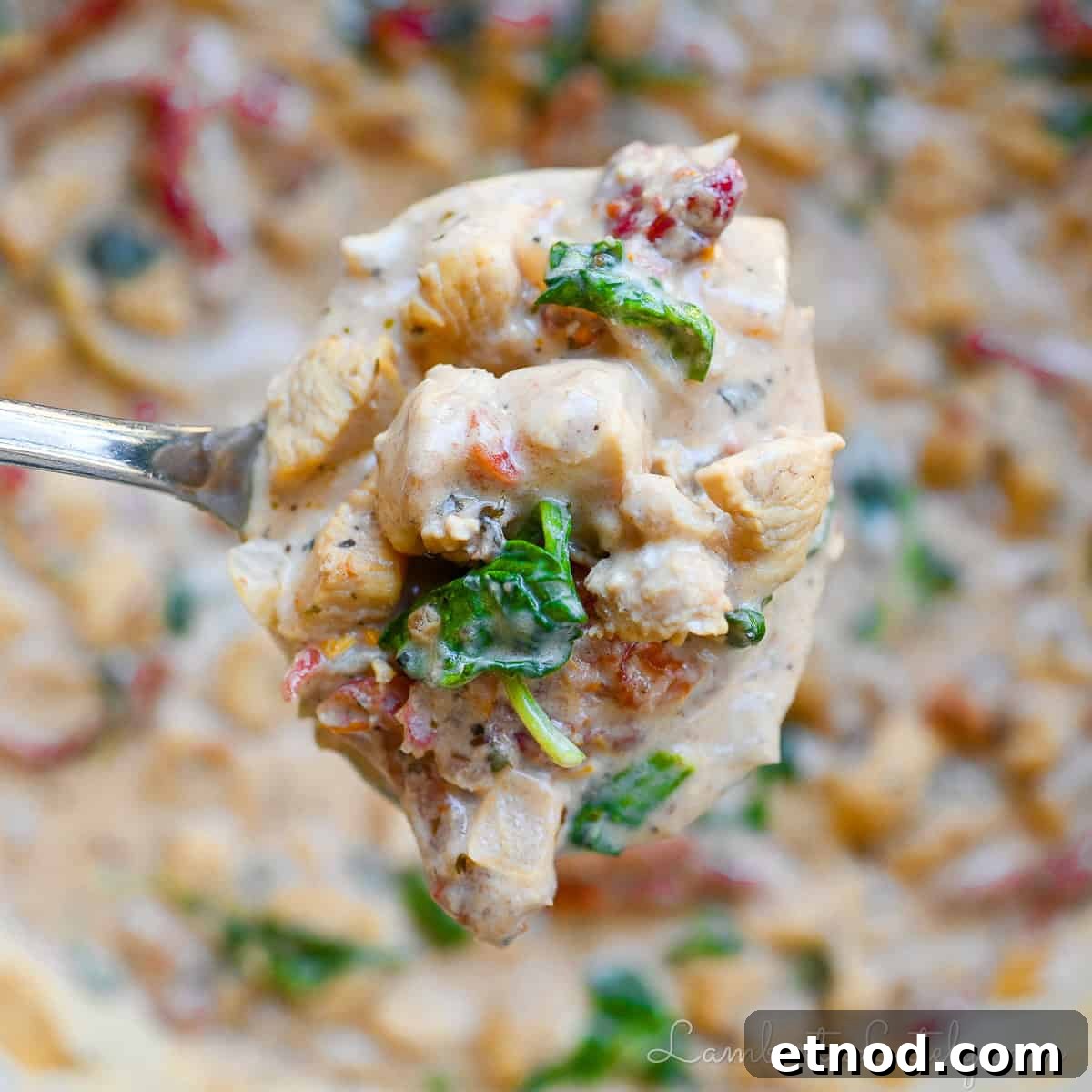 Marry Me Chicken Soup Recipe That Wins Hearts 6 holding a spoonful of marry me chicken soup.