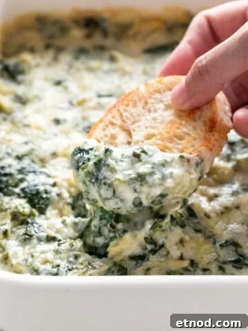 Hand dipping bread into vegan spinach artichoke dip in a baking dish.
