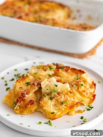 Photo of a plate and a casserole of vegan scalloped potatoes