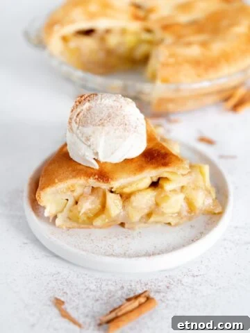 Photo of a slice of vegan apple pie with some ice cream