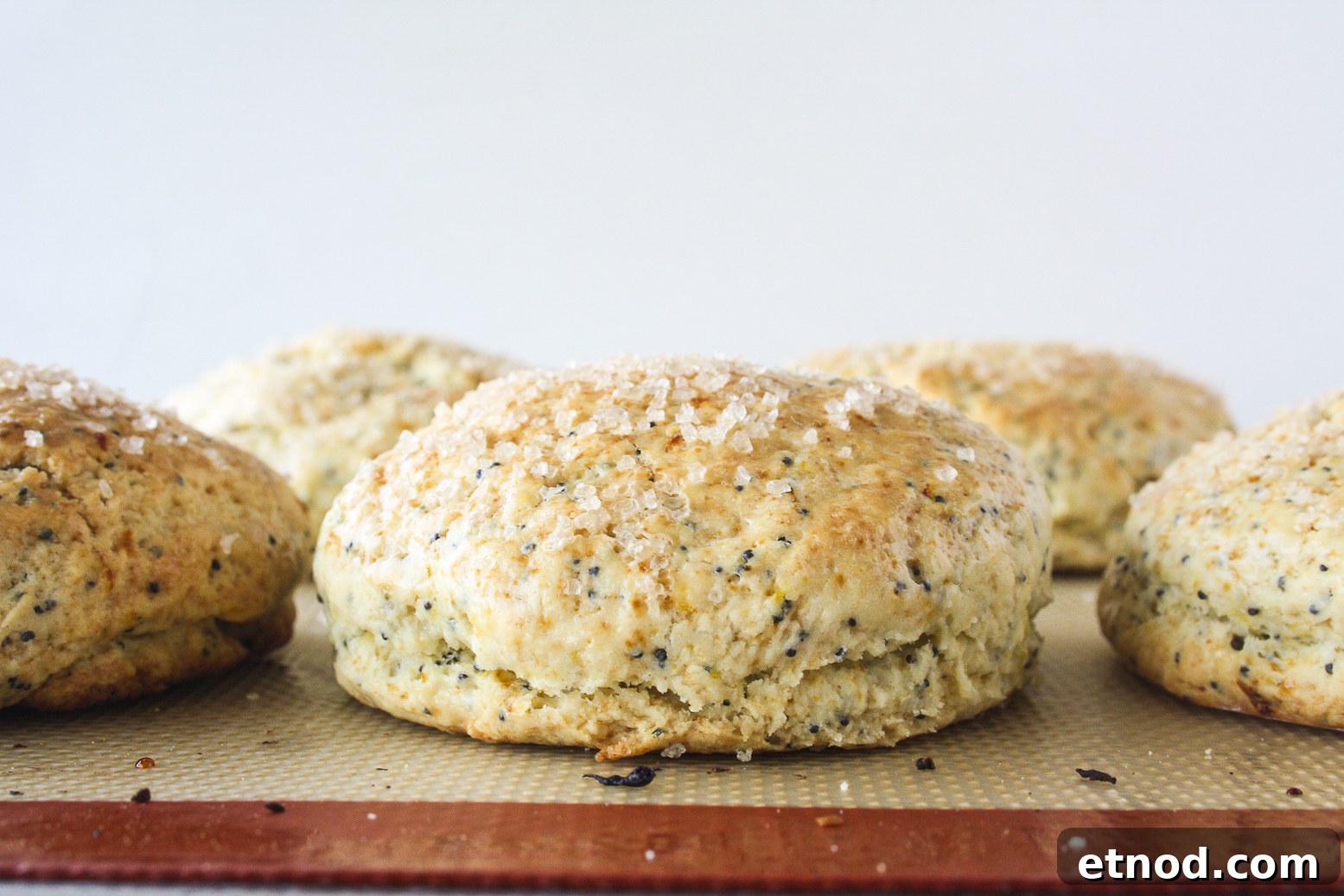 Eggless Orange and Poppy Seed Scones – Citrus Breakfast Treat 2 Tender scones bursting with fresh orange zest and poppy seeds!