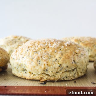 Eggless Orange and Poppy Seed Scones – Citrus Breakfast Treat 5 Tender scones bursting with fresh orange zest and poppy seeds!