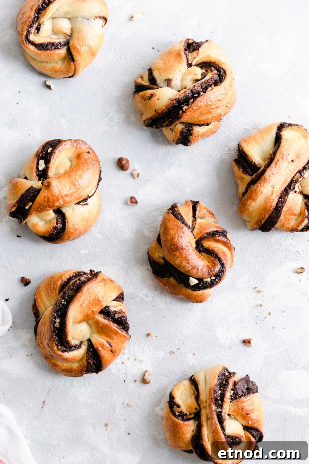 Chocolate Hazelnut Babka Buns Recipe with Gooey Swirls 11 Overhead shot of baked chocolate hazelnut babka buns on a white background