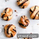 Chocolate Hazelnut Babka Buns Recipe with Gooey Swirls 12 Overhead shot of baked chocolate hazelnut babka buns on a white background