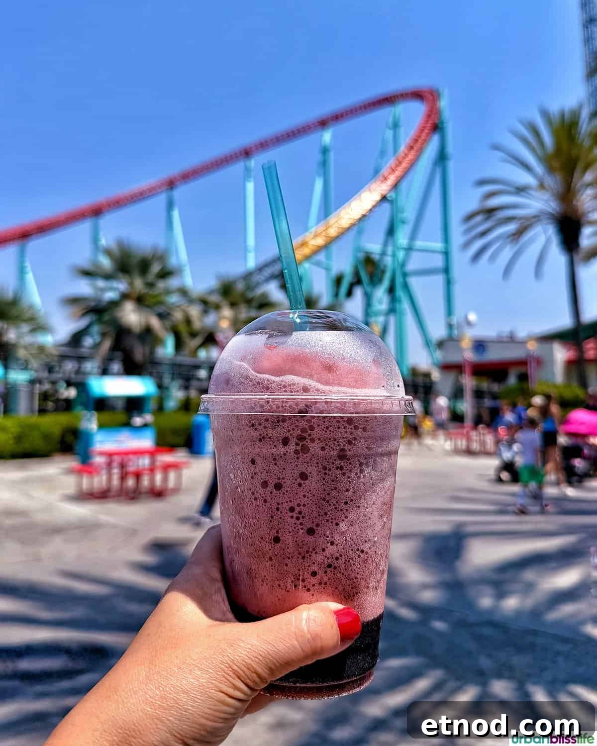 Knott's Berry Farm Boysenberry Food Trail: Must-Try Treats Guide 12 boysenberry ICEE.