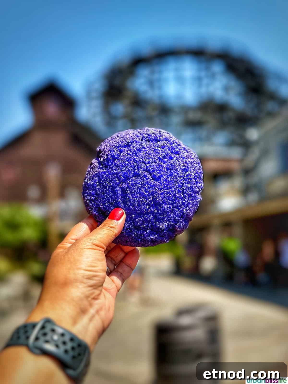 Knott's Berry Farm Boysenberry Food Trail: Must-Try Treats Guide 7 hand holding up a boysenberry cookie.
