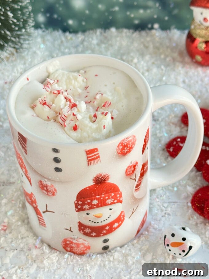 Creamy Peppermint Hot Chocolate Recipe for Cozy Winter Nights 5 Peppermint Hot Chocoalate.