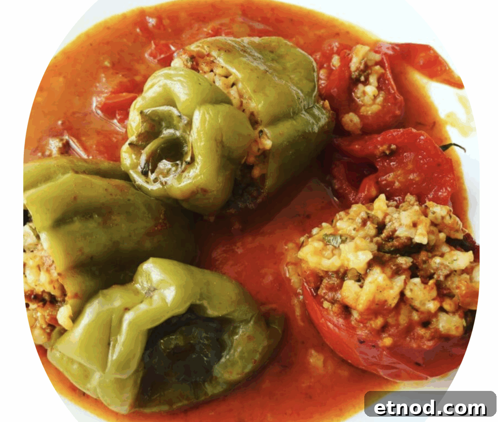 Global Halal Cooking: Turkish Recipes, Campus Meals & Where to Buy Products 7 img 117697 6