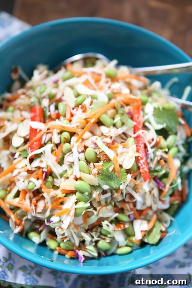 Asian Almond Slaw Salad asian slaw salad of slaw mix, matchstick carrots, red bell pepper, Fisher almonds, edamame, and cilantro in a large blue bowl