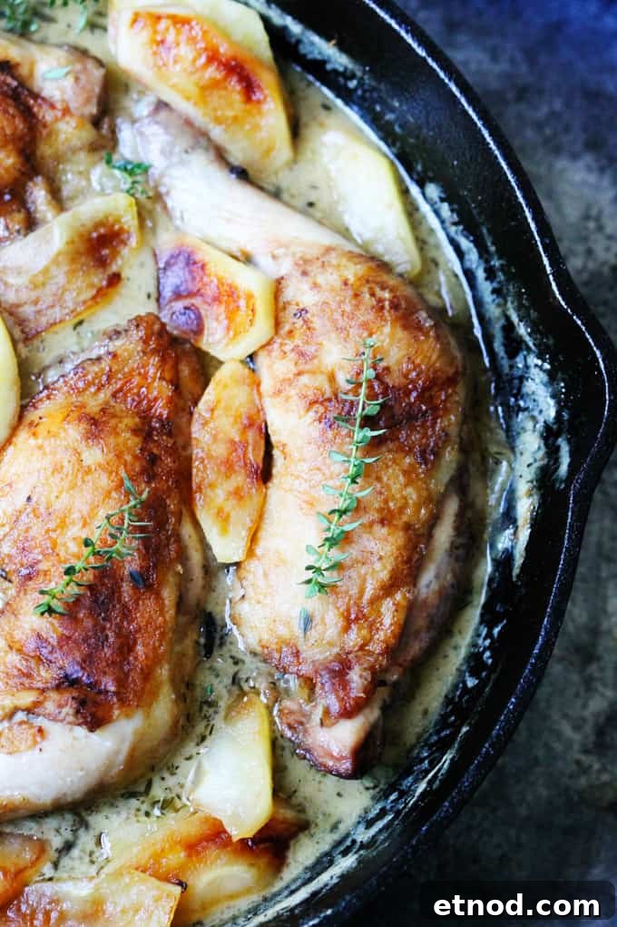 Braised Chicken Normandy with Apple Cider and Brandy 4 Close up shot of chicken normandy in a skillet