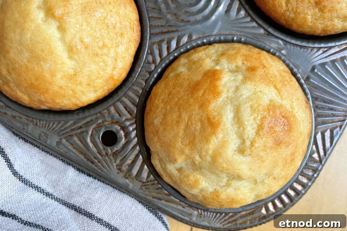 16 Classic Muffin Recipes You’ll Make Again and Again 2 Buttermilk Muffins