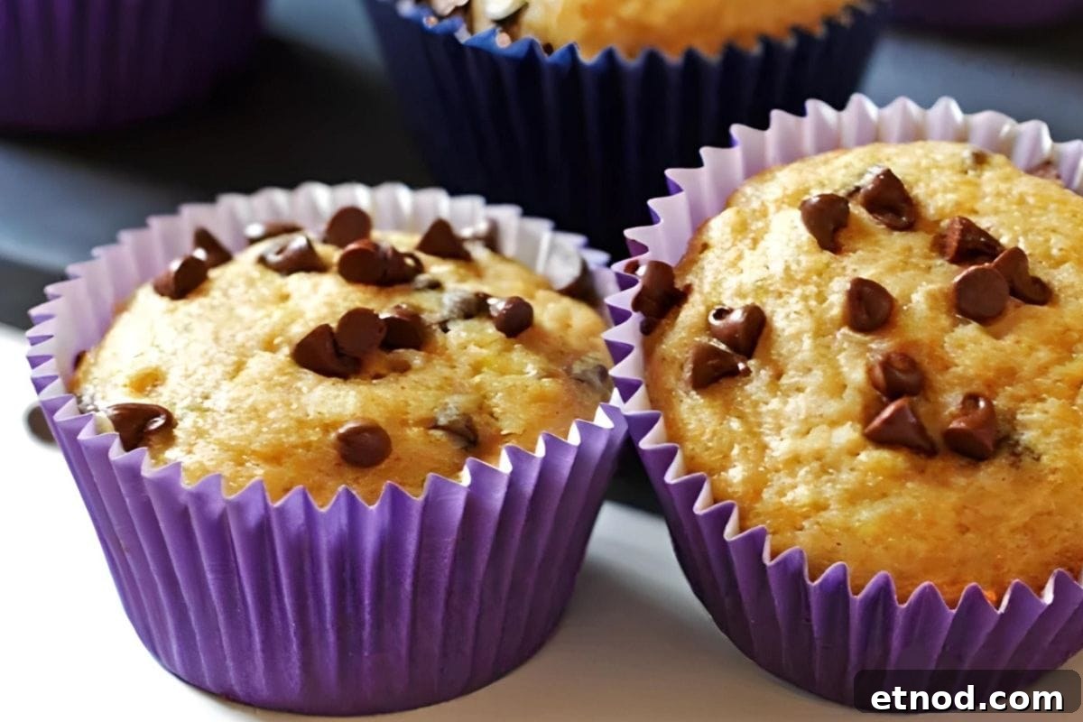 16 Classic Muffin Recipes You’ll Make Again and Again 10 Banana Chocolate Chip Muffins
