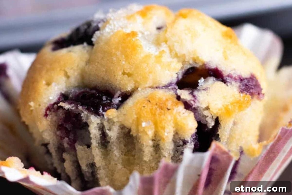16 Classic Muffin Recipes You’ll Make Again and Again 11 Mini Blueberry Muffins