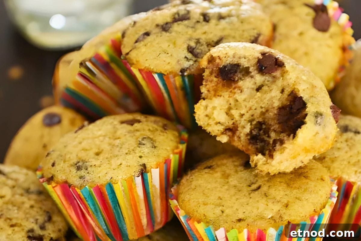 16 Classic Muffin Recipes You’ll Make Again and Again 12 Mini Chocolate Chip Muffins