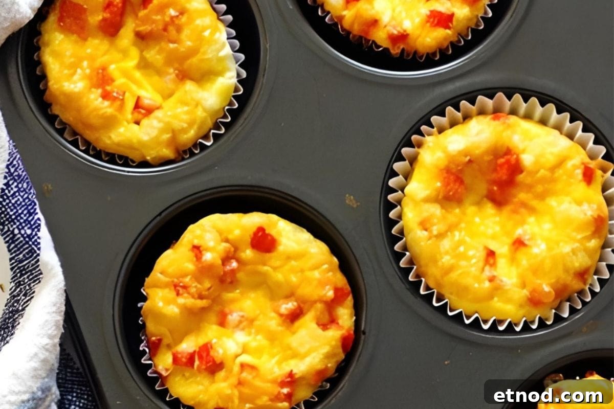 16 Classic Muffin Recipes You’ll Make Again and Again 14 Egg Muffins