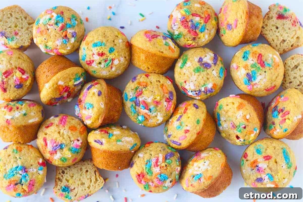 16 Classic Muffin Recipes You’ll Make Again and Again 3 Birthday Cake Muffins