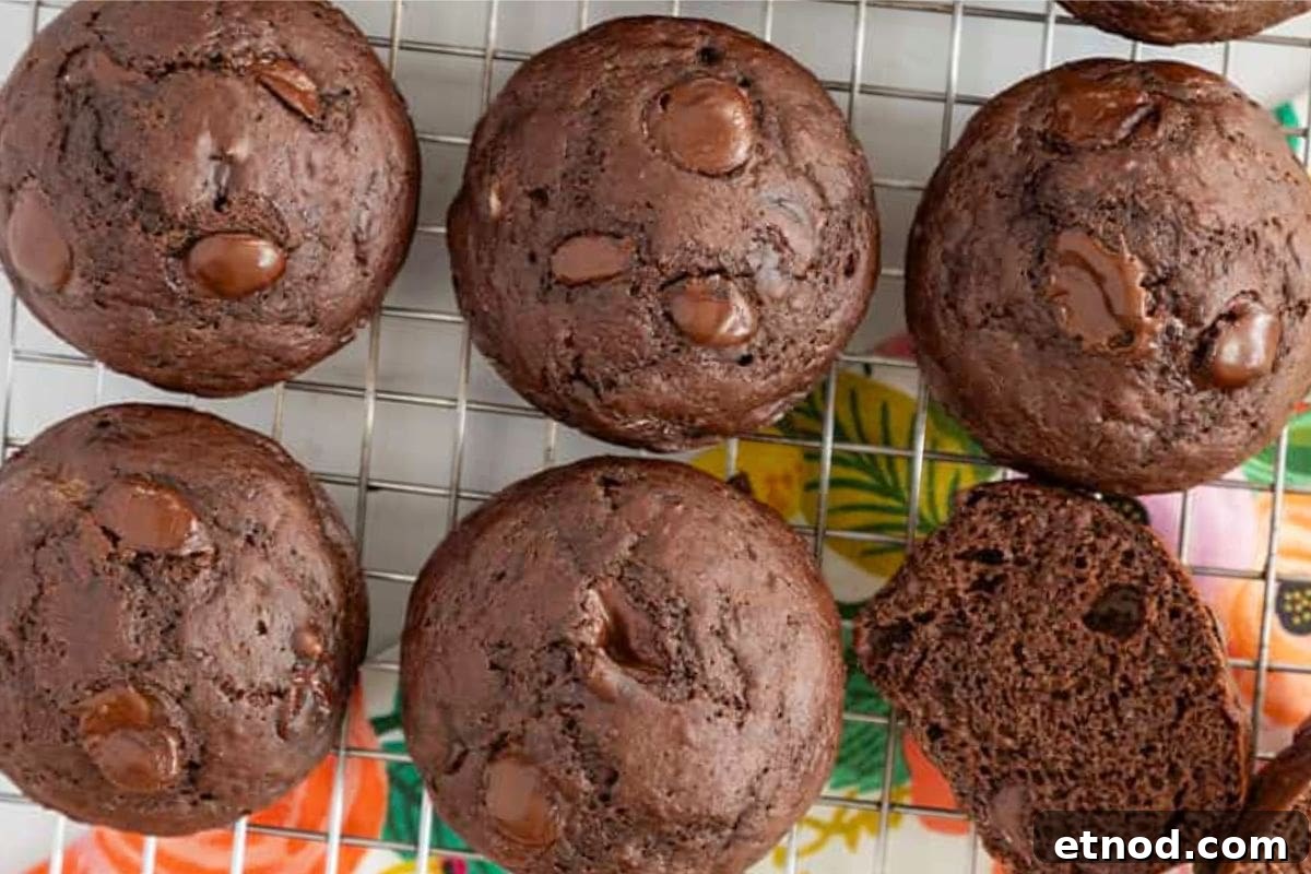 16 Classic Muffin Recipes You’ll Make Again and Again 4 Double Chocolate Muffins