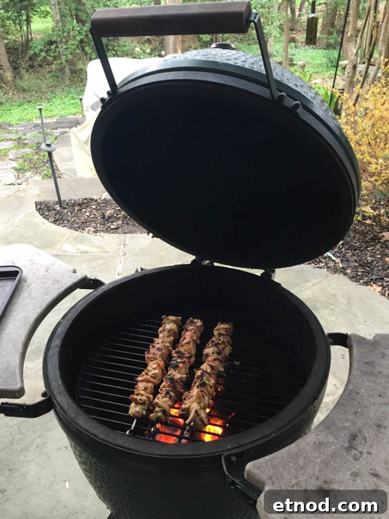 Grilled Thai Green Curry Chicken Skewers on the Big Green Egg 5 Big Green Egg Thai Green Curry Chicken Skewers