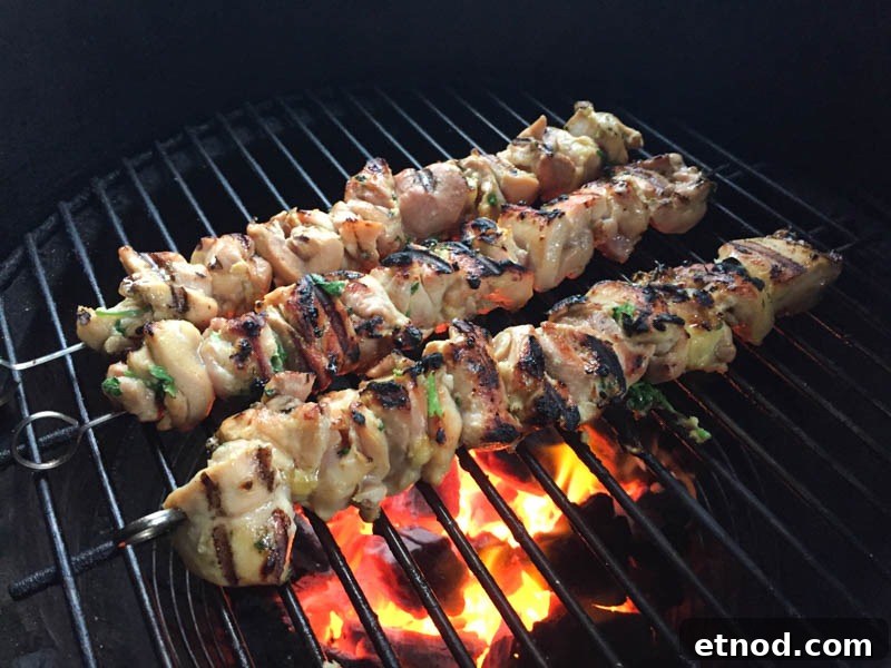 Grilled Thai Green Curry Chicken Skewers on the Big Green Egg 6 Big Green Egg Thai Green Curry Chicken Skewers
