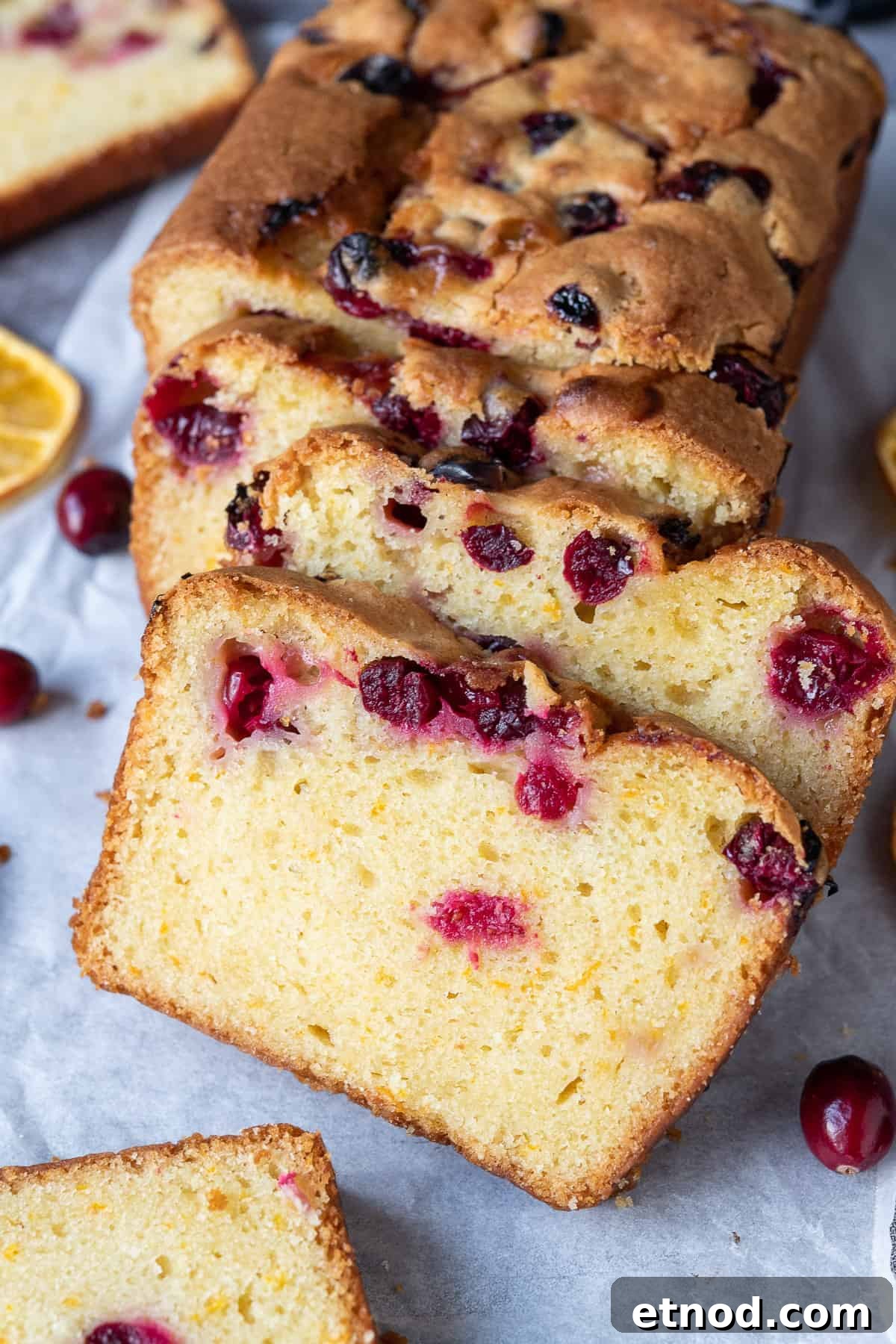 Close up of slices of orange cranberry cake. Close up of slices of orange cranberry cake.