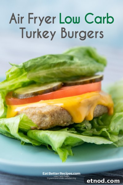 Keto air fryer turkey burger cheeseburger Keto Air Fryer Turkey Burgers Recipe