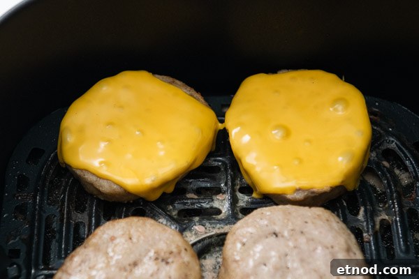 Low-Carb Lettuce-Wrapped Turkey Burgers from the Air Fryer 9 Cheese melted on turkey patties in air fryer