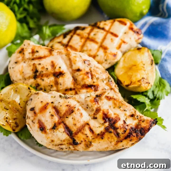 Coconut lime grilled chicken breasts on a plate with cilantro and limes behind it.