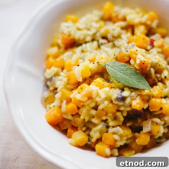Vegan Butternut Squash & Chili Risotto