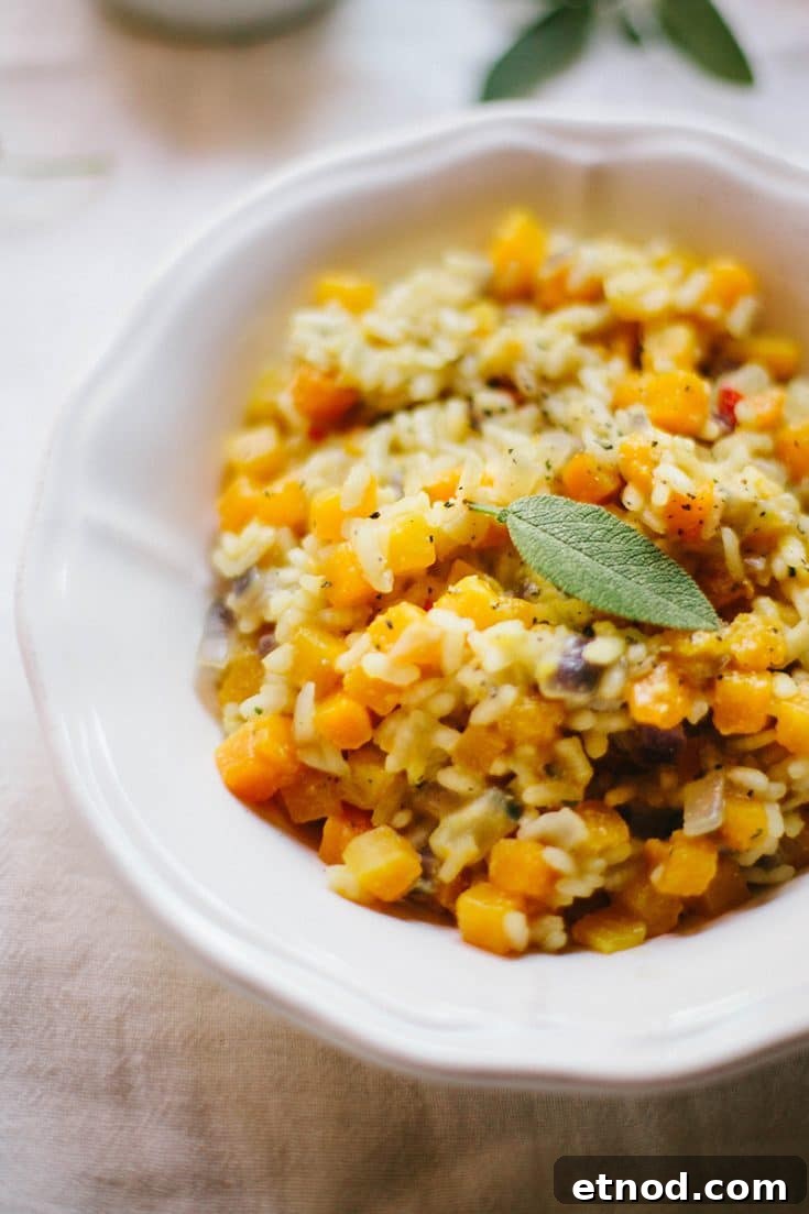 img 14741 5