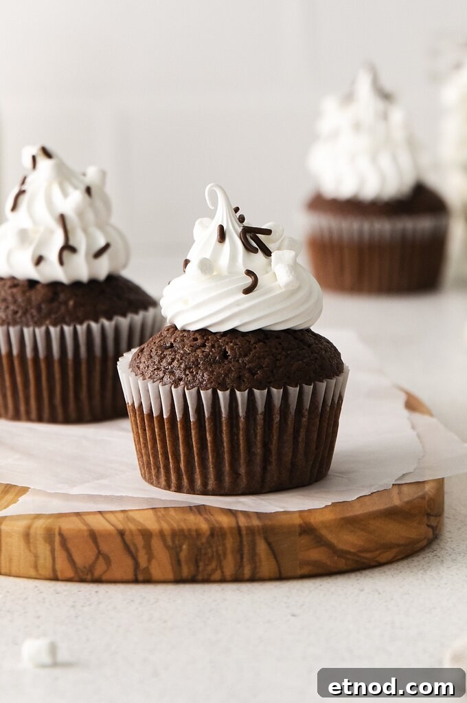 Decadent Hot Chocolate Cupcakes with Gooey Chocolate Center 2 img 14768 1