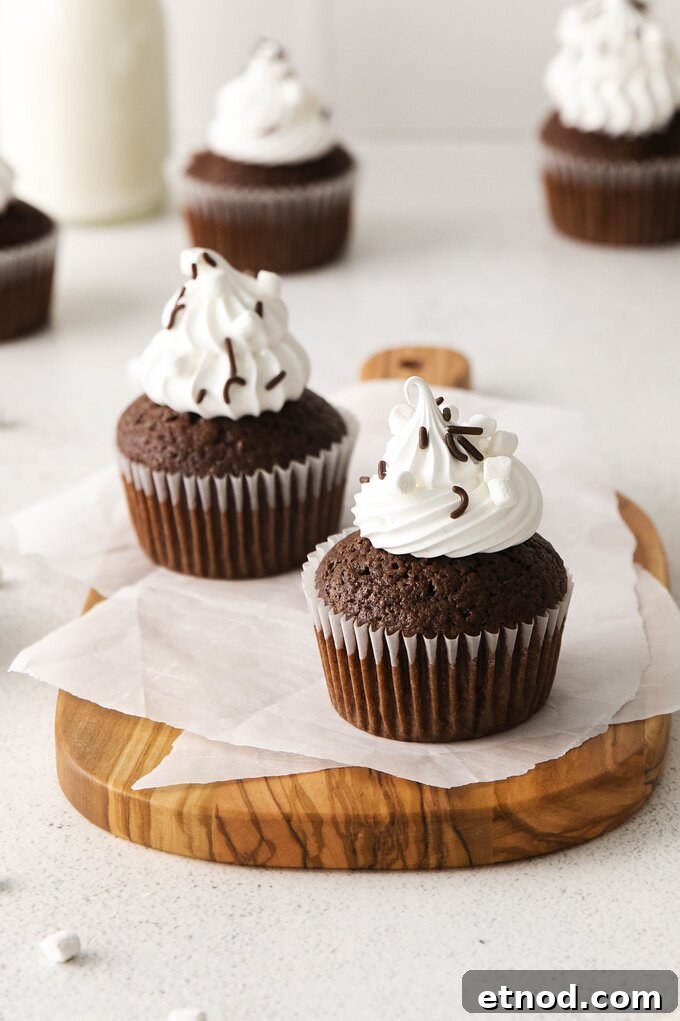 Decadent Hot Chocolate Cupcakes with Gooey Chocolate Center 6 img 14768 10