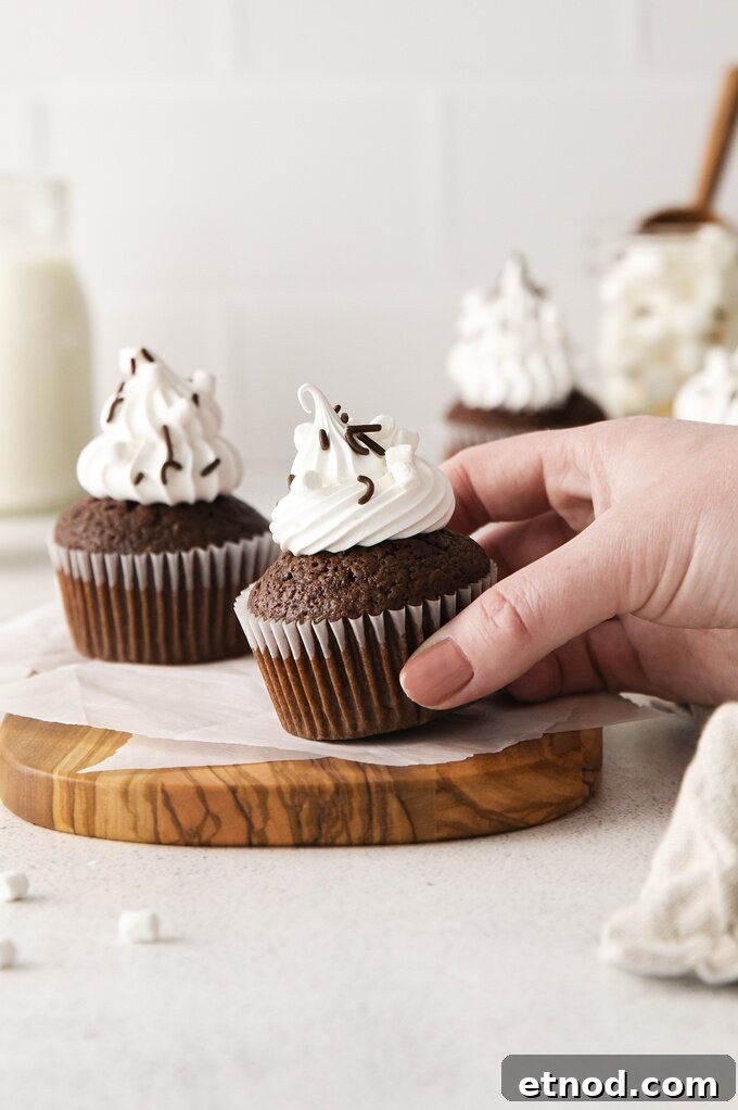 Decadent Hot Chocolate Cupcakes with Gooey Chocolate Center 7 img 14768 12